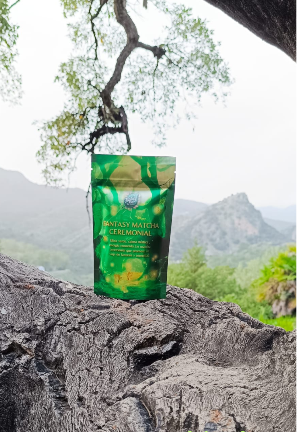 Matcha Ceremonial Japonés 40g – Energía, Antioxidantes y Bienestar